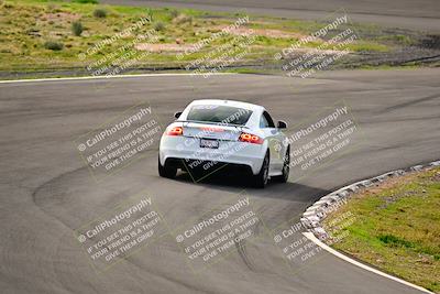 media/Feb-25-2024-Speed Ventures (Sun) [[b9a2a97a4d]]/Mustang Drivers Club/Session 1 (Turns 4 and 5)/